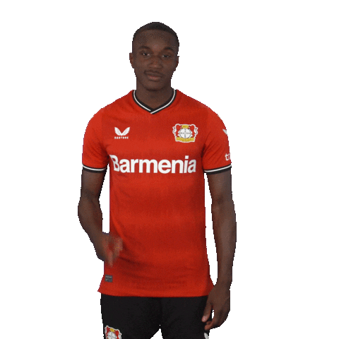 I Know It Hello Sticker by Bayer 04 Leverkusen