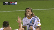 happy alan gordon GIF by LA Galaxy