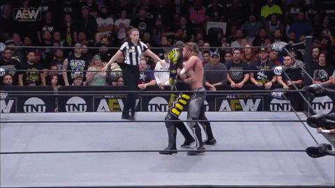 GIF by ALL ELITE WRESTLING
