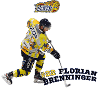 Ice Hockey Sticker by EHC Waldkraiburg