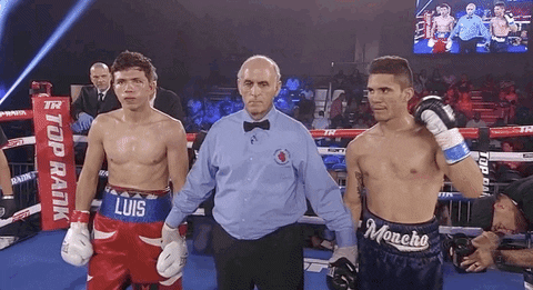 toprank giphyupload fight boxing fighting GIF