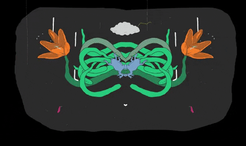 harisabadi giphyupload GIF