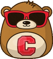 Bear Touchdown GIF by Cornell Alumni
