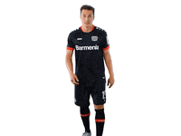 Bayer 04 Goal GIF by Bayer 04 Leverkusen