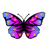 Rainbow Color Sticker