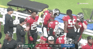 Atlanta Falcons Football GIF by NFL