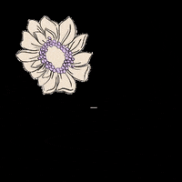 FalabellaCo falabella fatpandora falabellacolombia fatpandoraxfalabella GIF