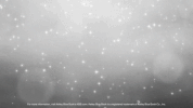GIF by NorCal Honda Dealers