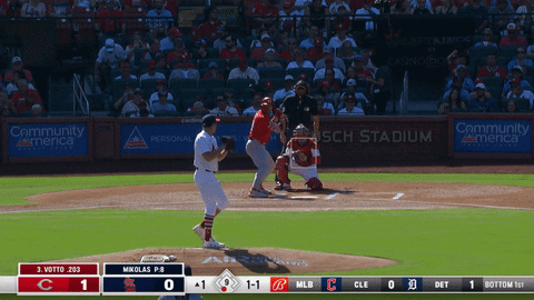 bclemens6 giphyupload GIF