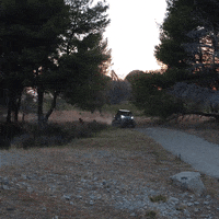 Race Mud GIF by ITP Tires And Wheels