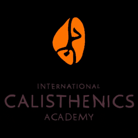 calisthenics-academy giphygifmaker calisthenics calisthenics academy calisthenicsacademy GIF