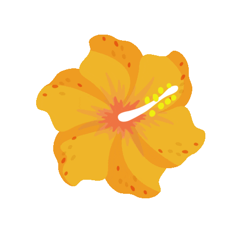 Flor Sticker by Amarante Hoteis