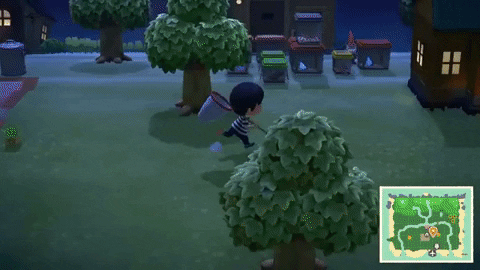 Animal Crossing Nintendo GIF