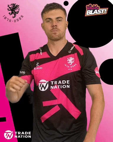 Celebration Ball GIF by Somerset County Cricket Club
