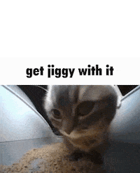 mushymelon dancing cat Get jiggy with it Sticker