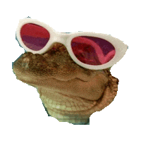 Swag Sticker by imoji