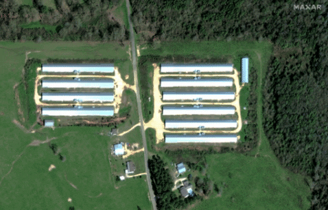 Annesoo giphygifmaker GIF