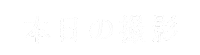 カメラ 写真 Sticker