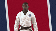 Martial Arts Fun GIF by Paris Saint-Germain Judo
