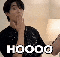 Stray Kids Chris GIF