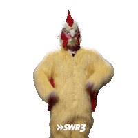 Laugh Laughing Sticker by SWR3