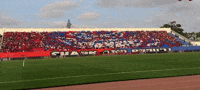 Ultrasshark07 GIF