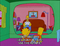 homer simpson GIF