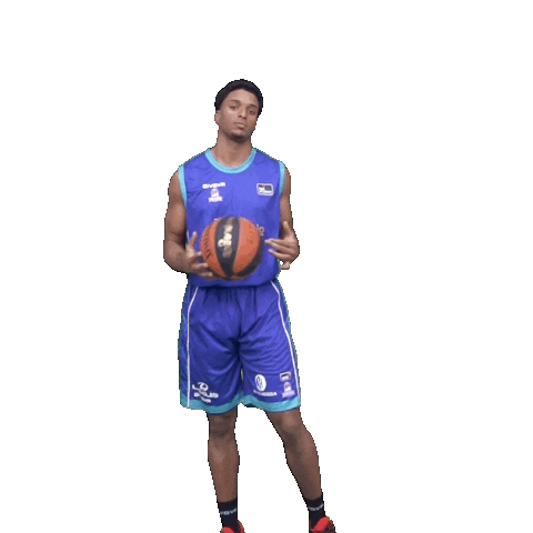 Liga Endesa Sport Sticker by ACB