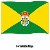 Castilla Y Leon Bandera GIF by Formación Ninja