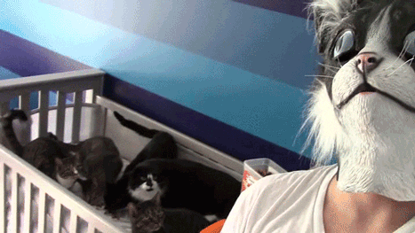prank GIF
