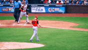 Blue Jays Baseball GIF by Toronto Blue Jays