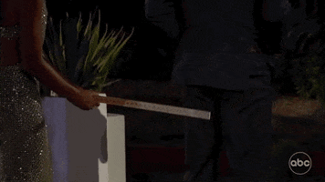 Michelle GIF by The Bachelorette