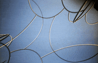 35mm GIF by Blanca Viñas