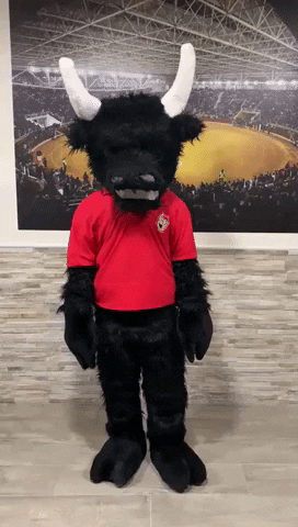 ATSUERTEYALTORO toro toledo pregunta milagrito GIF