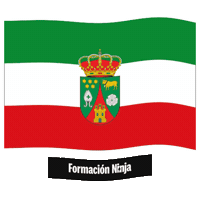 Castilla Y Leon Flag Sticker by Formación Ninja