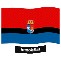 Bandera Andalucia Sticker by Formación Ninja
