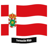 Castilla-La Mancha Flag Sticker by Formación Ninja