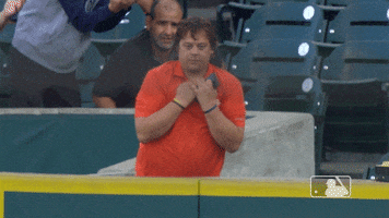 Major League Baseball Reaction GIF by Detroit Tigers