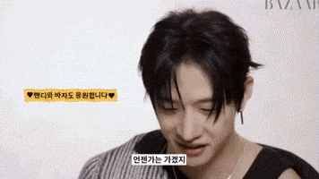 StayforChahn stray kids bang chan bangchan fendi GIF