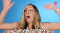 IT'S KITTENS!