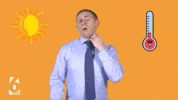 Heat Wave Summer GIF by WBRC FOX6 News