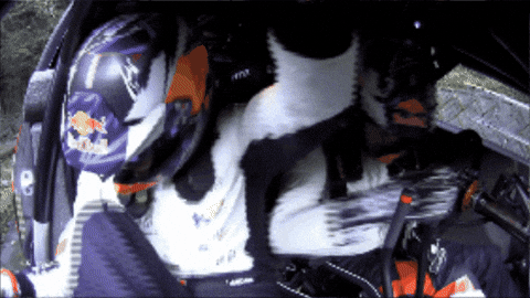 Driving Get Out GIF by FIA World Rally Championship