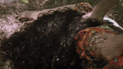 EcchoRights yemin kanal 7 ecchorights GIF