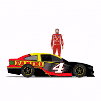 Celebrate Auto Racing GIF by Panini America