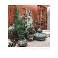 aseelresort vibes weekend relax vacation Sticker