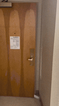 Dormfoolery dorm foolery dormfoolery GIF