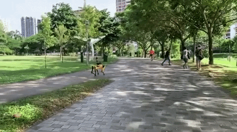 alegalazb giphygifmaker spot ia bostondynamics GIF