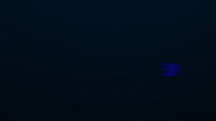 GIF by Fourtwenty