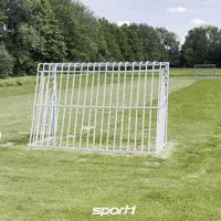 Germany Soccer GIF by SPORT1