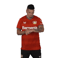 Come On Waiting Sticker by Bayer 04 Leverkusen